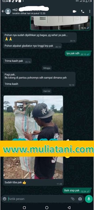 Testimoni 3