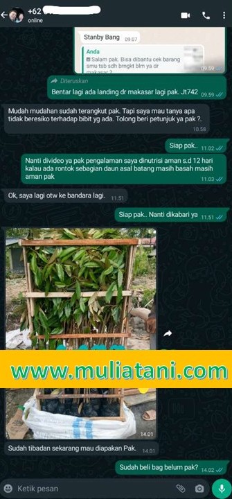 Testimoni