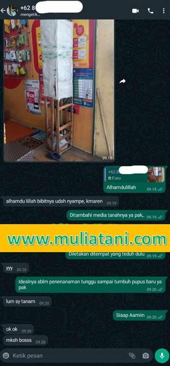 Testimoni2