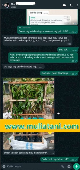 Testimoni5