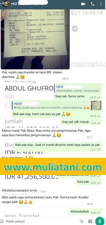testimoni4